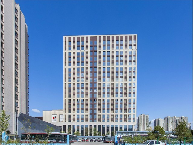 江门家私白蚁公司排名